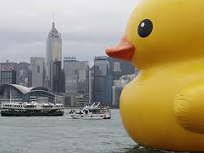 giant duck