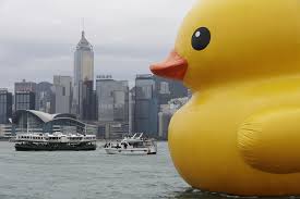 giant duck